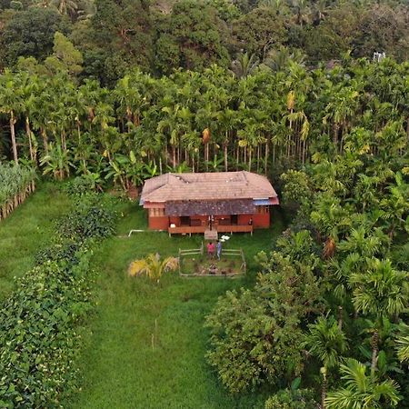 Ibbani Homestay, Siddapur Экстерьер фото