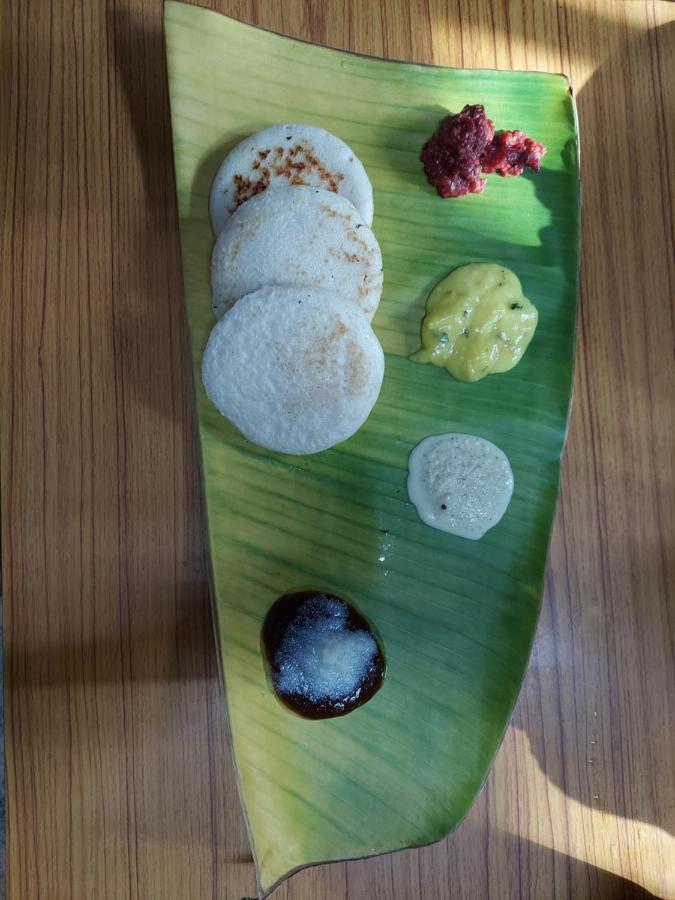 Ibbani Homestay, Siddapur Экстерьер фото