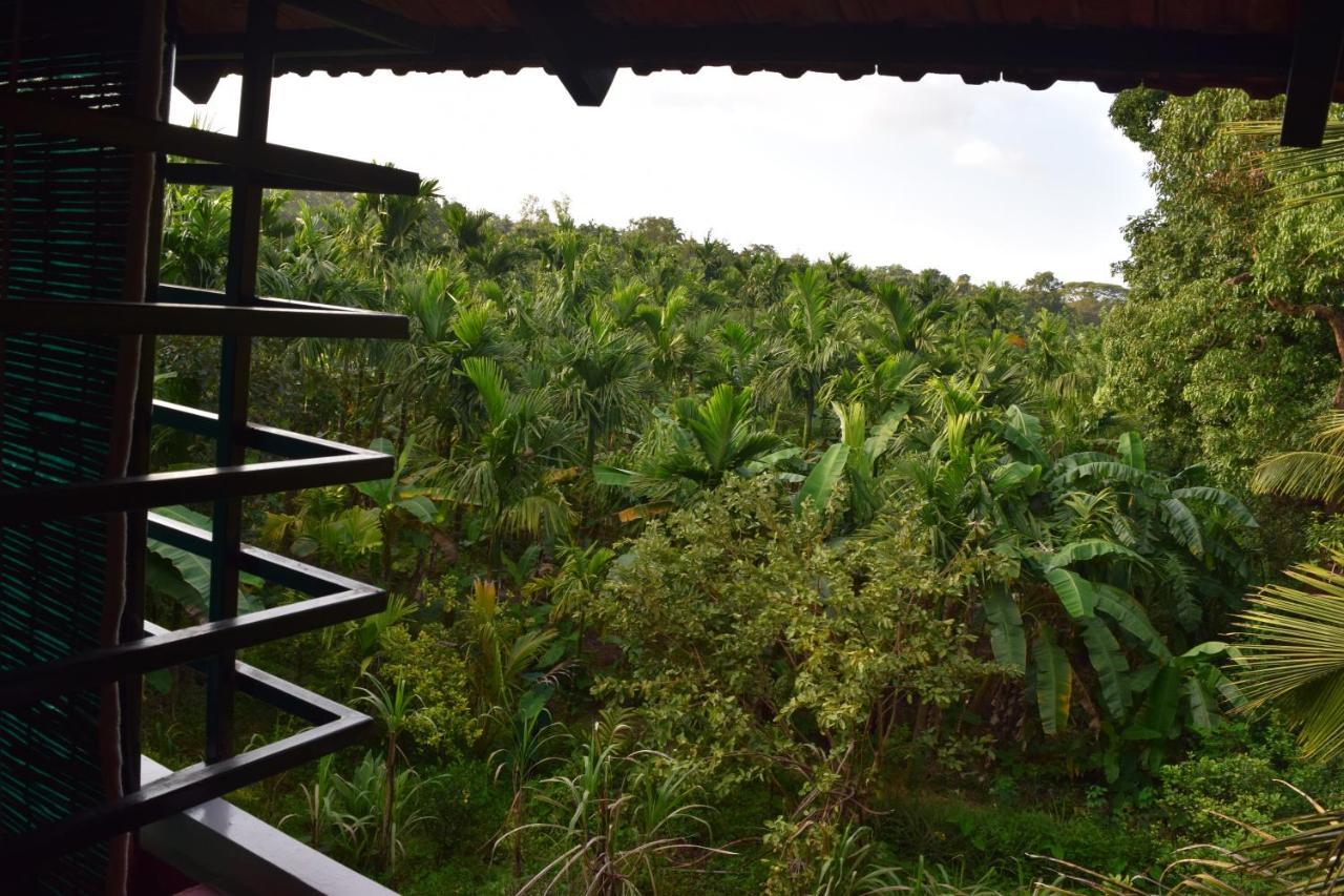 Ibbani Homestay, Siddapur Экстерьер фото