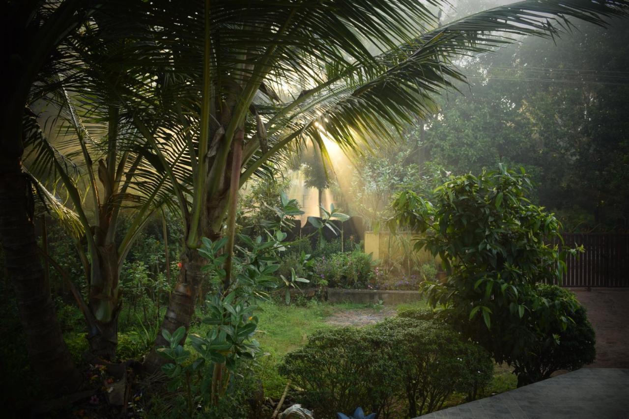 Ibbani Homestay, Siddapur Экстерьер фото
