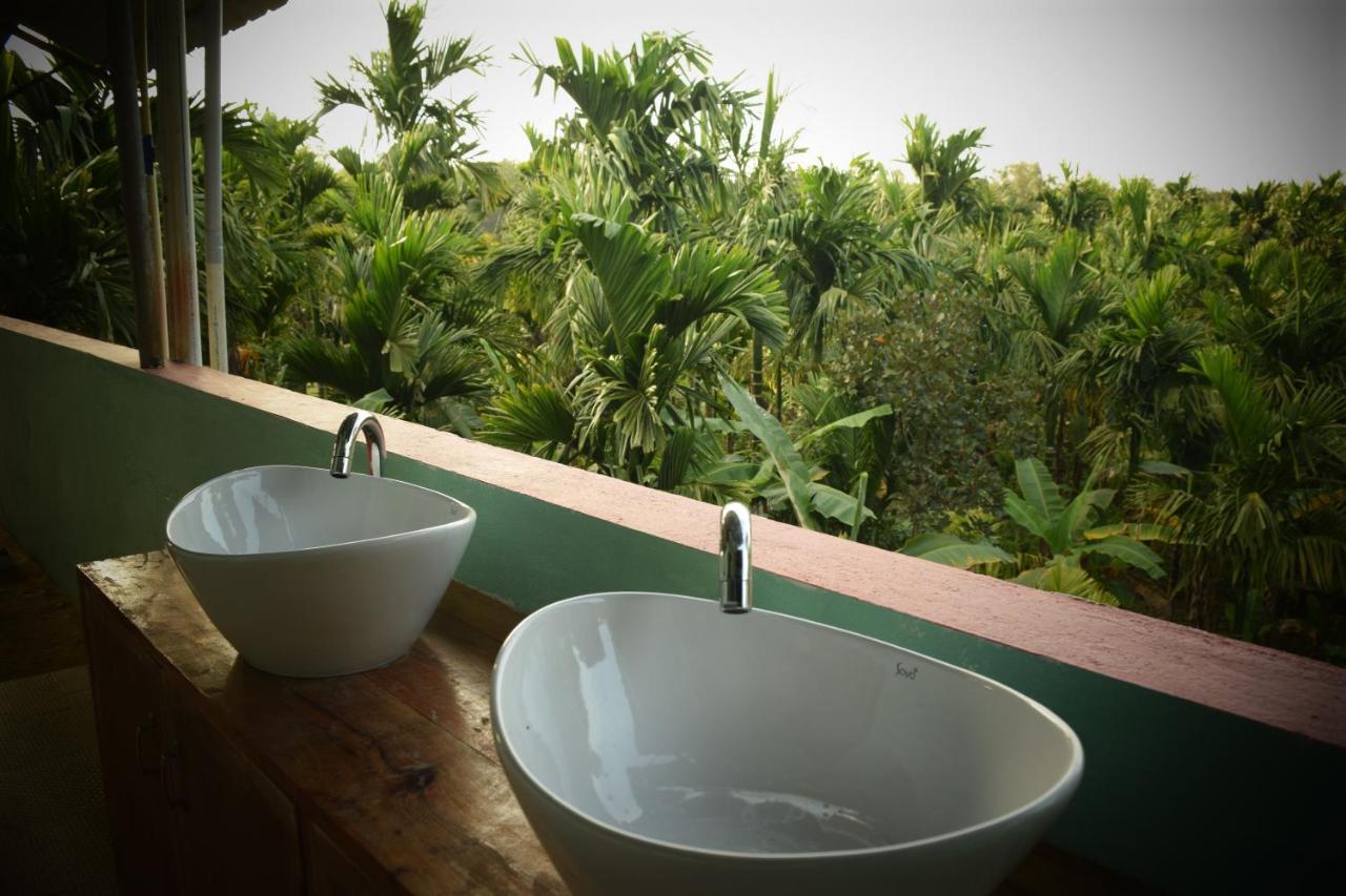 Ibbani Homestay, Siddapur Экстерьер фото