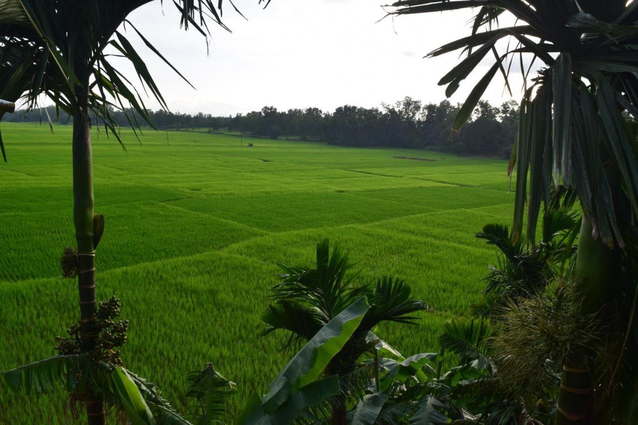 Ibbani Homestay, Siddapur Экстерьер фото