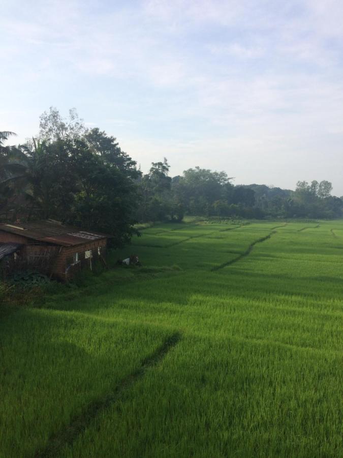 Ibbani Homestay, Siddapur Экстерьер фото