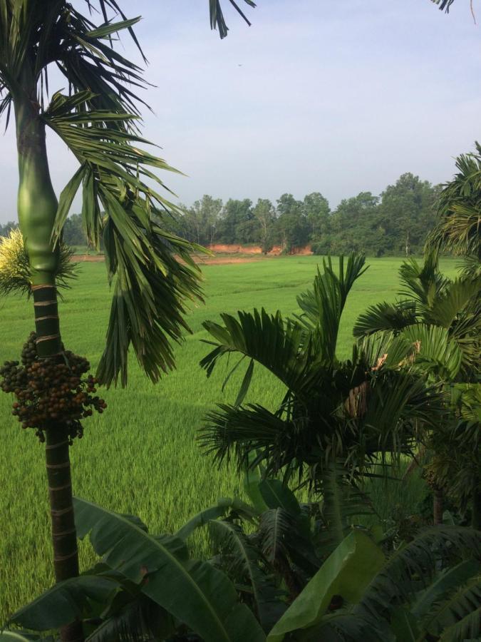 Ibbani Homestay, Siddapur Экстерьер фото